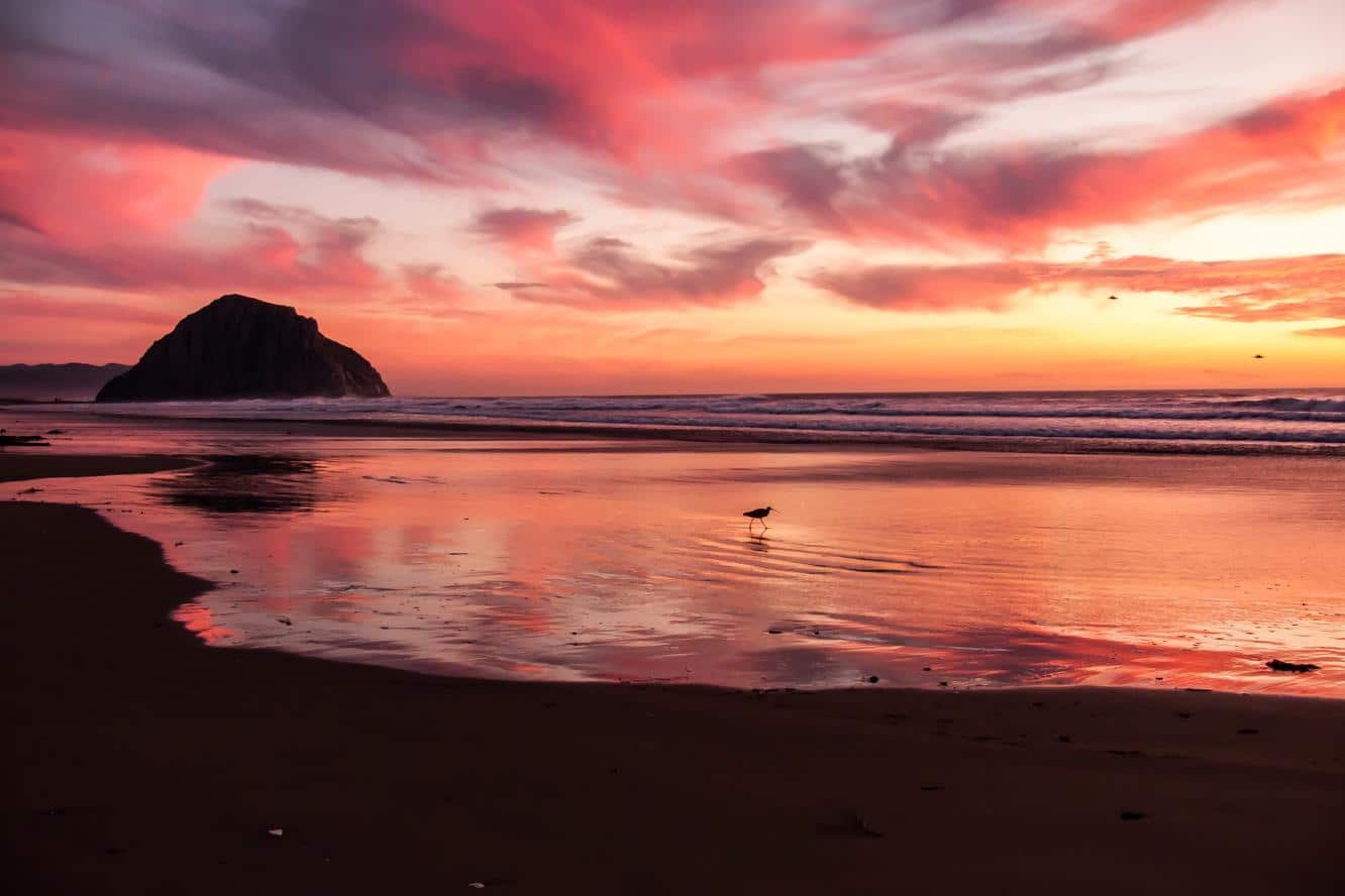 Culpa debitis enim fuga est